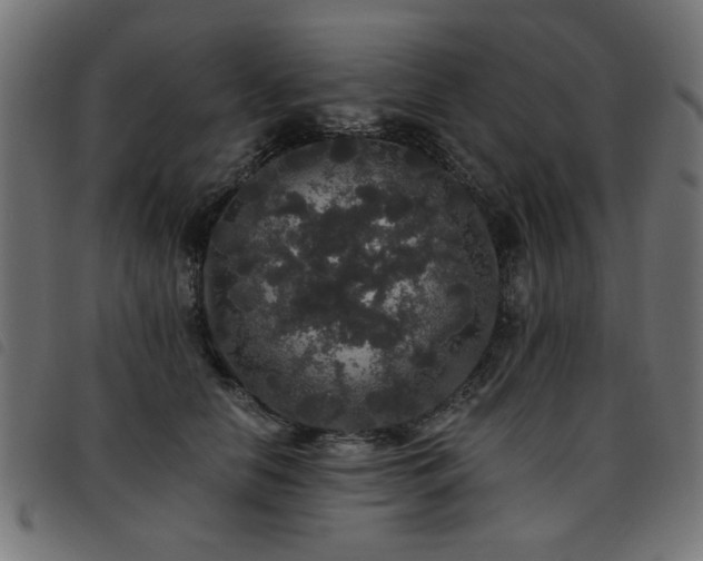 X0000093450658200710121355