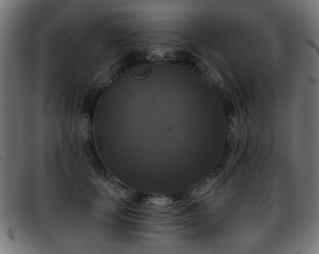 X0000093450659200710121355