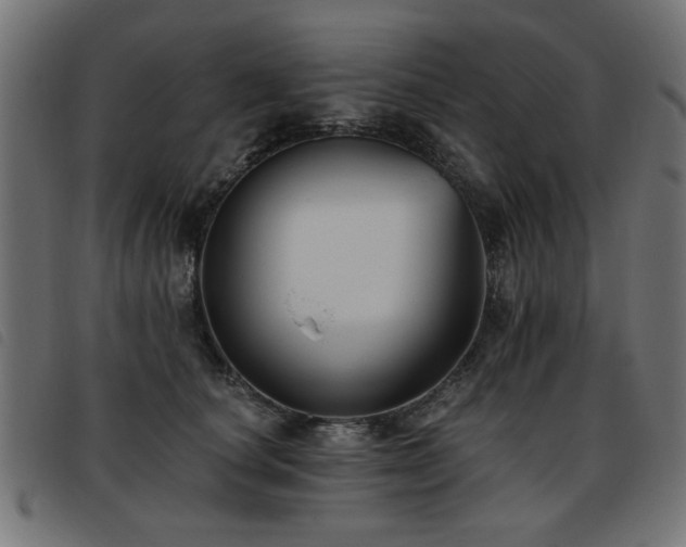 X0000093450660200710121355