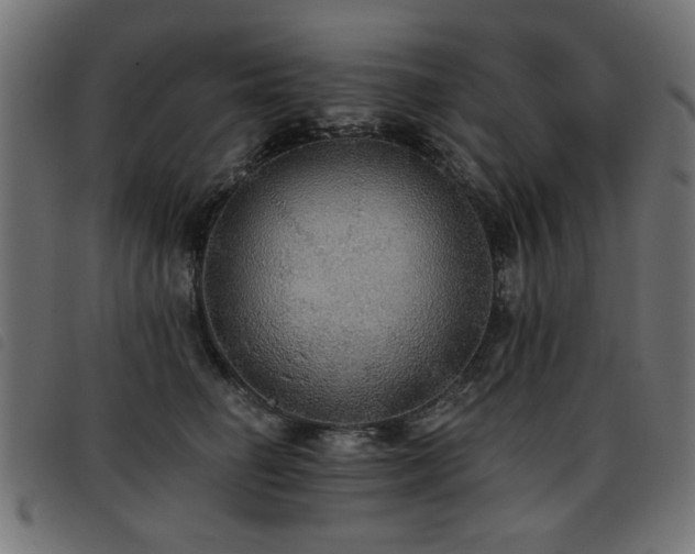 X0000093450662200710121355