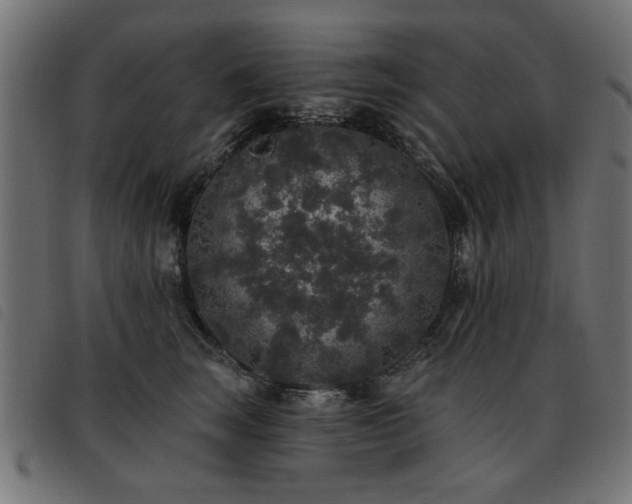 X0000093450663200710121355