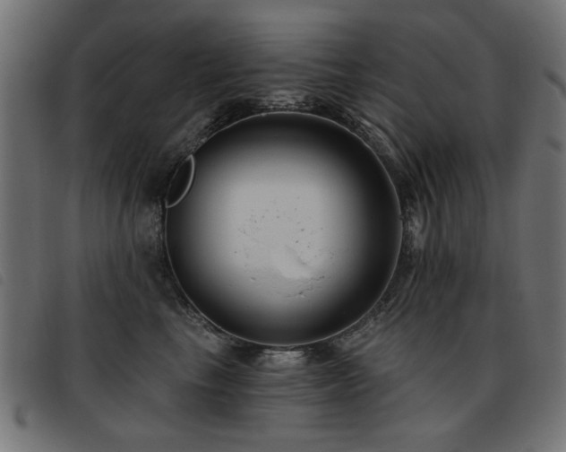 X0000093450665200710121355
