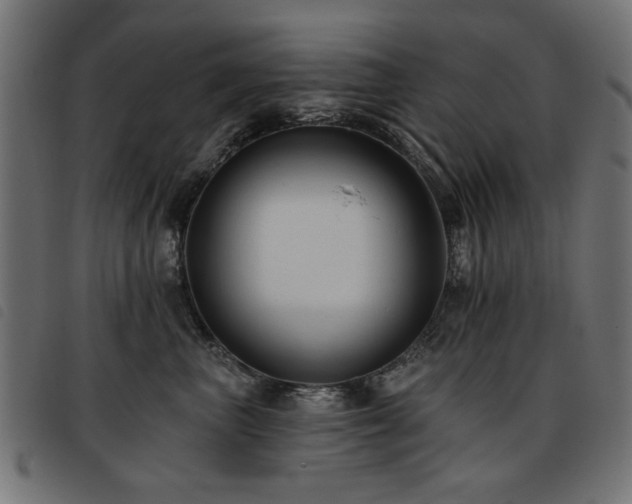 X0000093450667200710121355