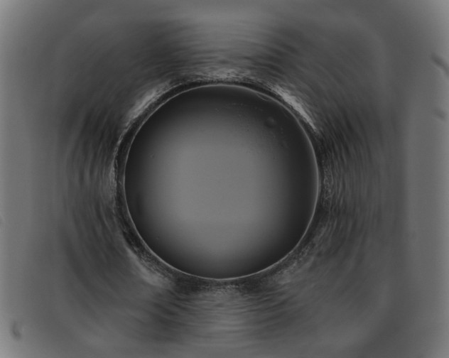 X0000093450674200710121354