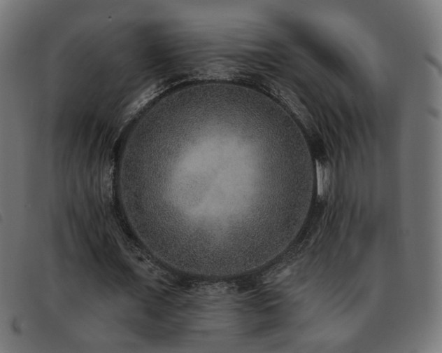 X0000093450675200710121354
