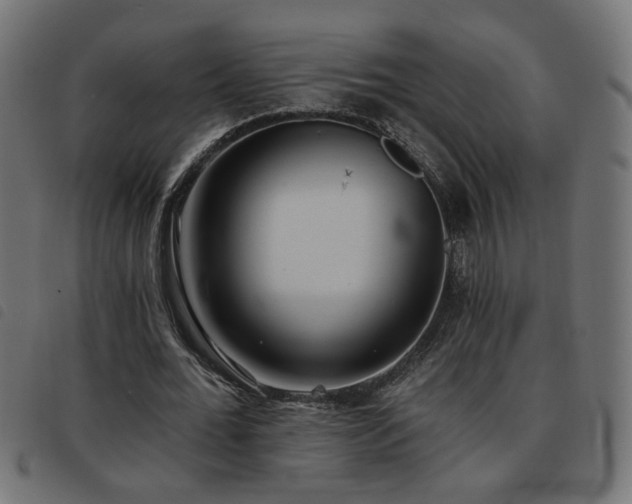 X0000093450676200710121354