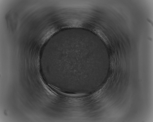 X0000093450677200710121354
