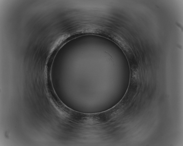 X0000093450678200710121354