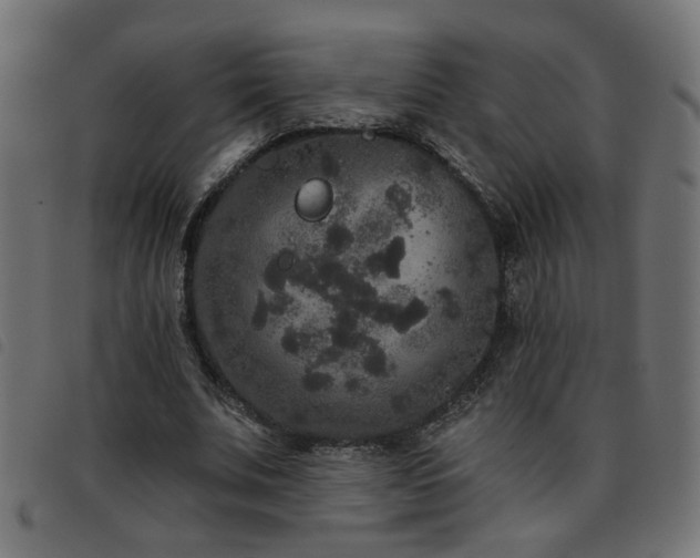 X0000093450679200710121354