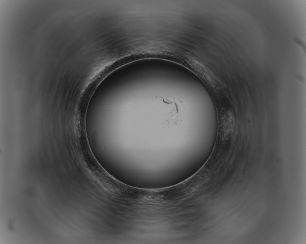 X0000093450680200710121354