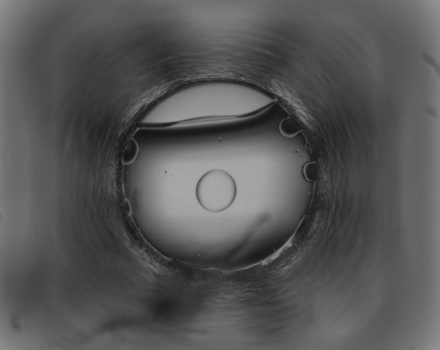 X0000093450681200710121354