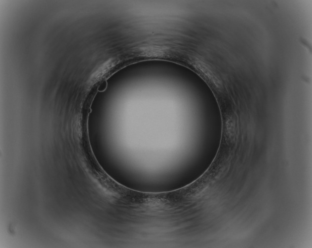 X0000093450682200710121354