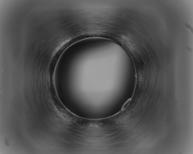 X0000093450684200710121354