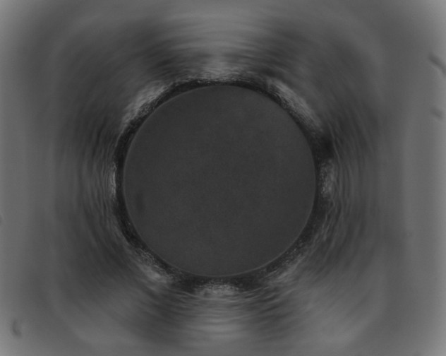 X0000093450685200710121354