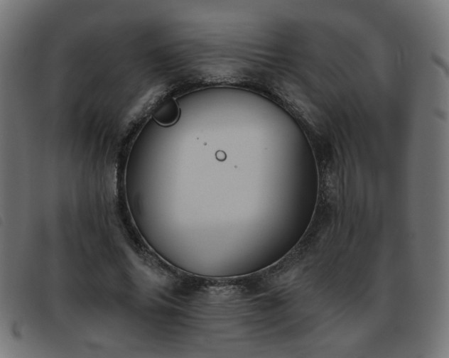 X0000093450686200710121354