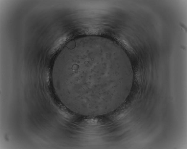 X0000093450687200710121354