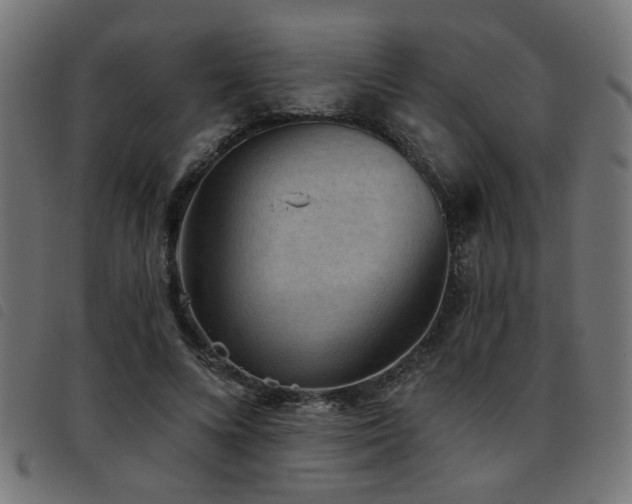 X0000093450688200710121354