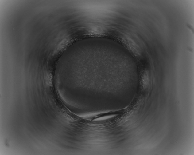 X0000093450689200710121354