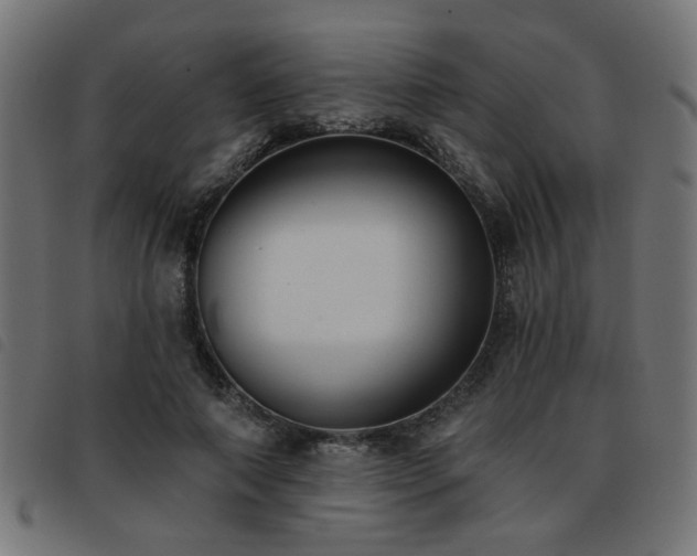 X0000093450690200710121354