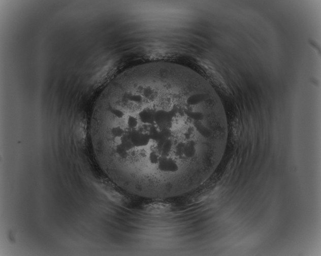 X0000093450691200710121354