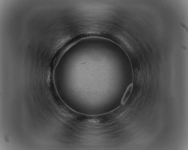 X0000093450692200710121354