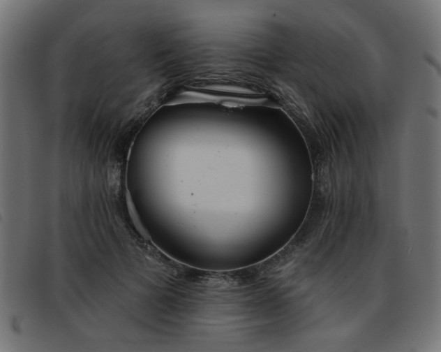 X0000093450697200710121354