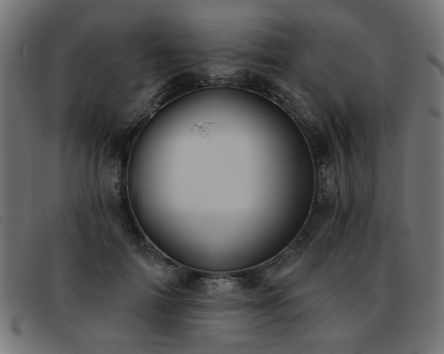 X0000093450698200710121354