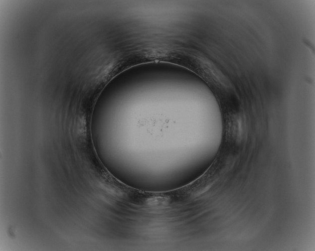 X0000093450700200710121354
