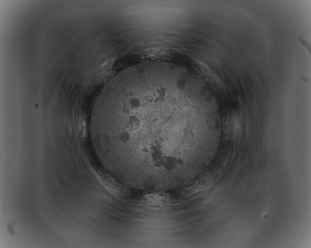 X0000093450703200710121354