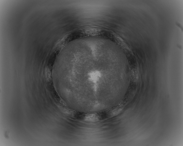 X0000093450705200710121354