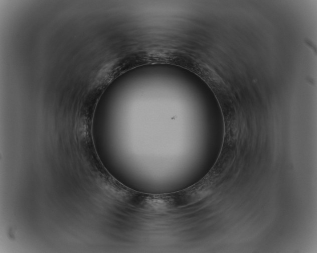 X0000093450706200710121354