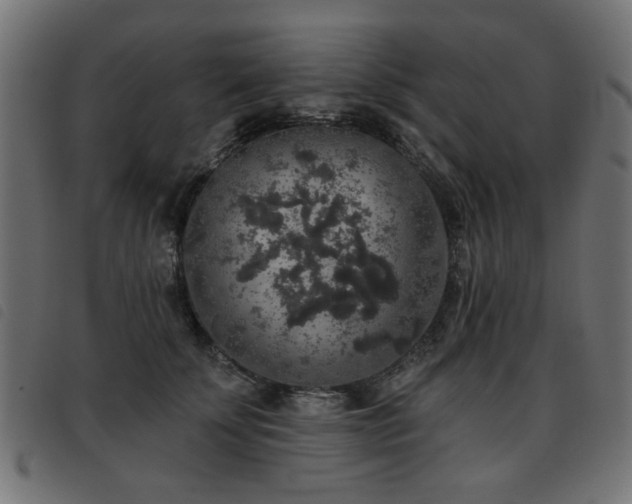 X0000093450707200710121354