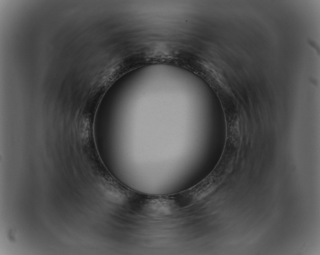 X0000093450708200710121354