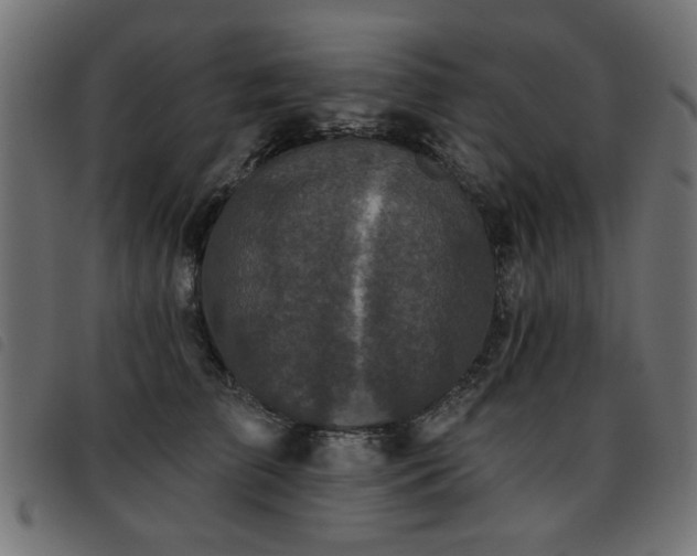 X0000093450709200710121354