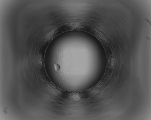 X0000093450710200710121354