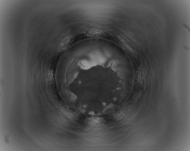 X0000093450711200710121354