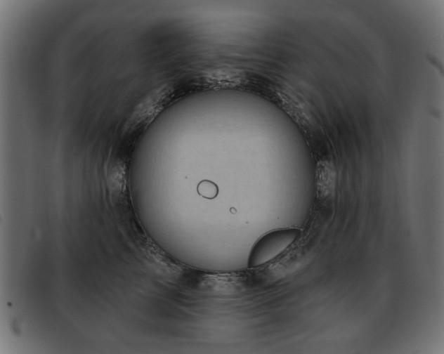 X0000093450713200710121354