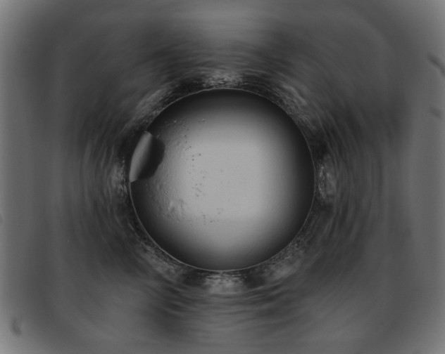 X0000093450714200710121354