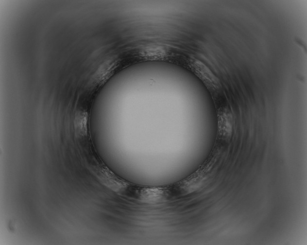 X0000093450717200710121354