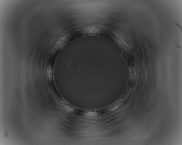 X0000093450718200710121354
