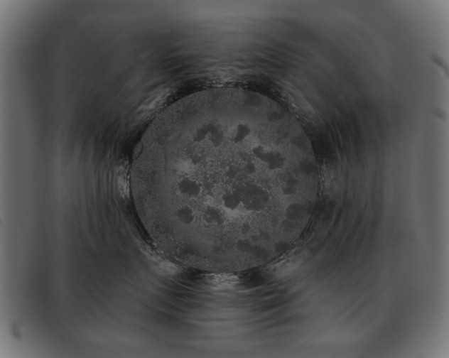 X0000093450719200710121354