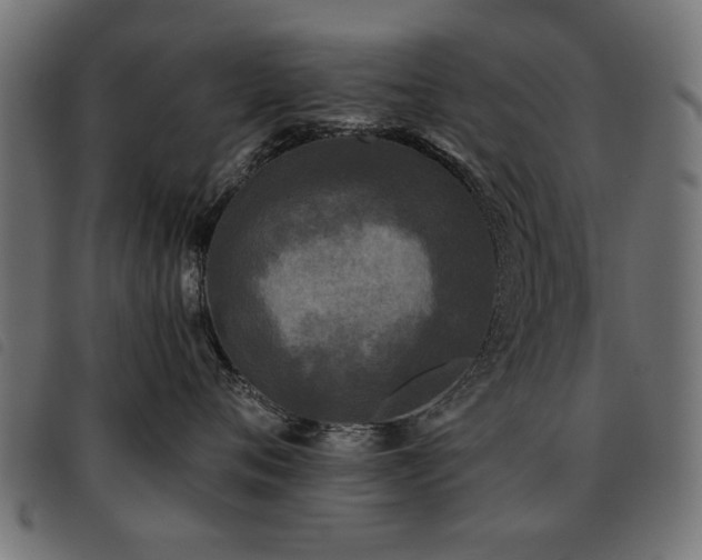 X0000093450720200710121354