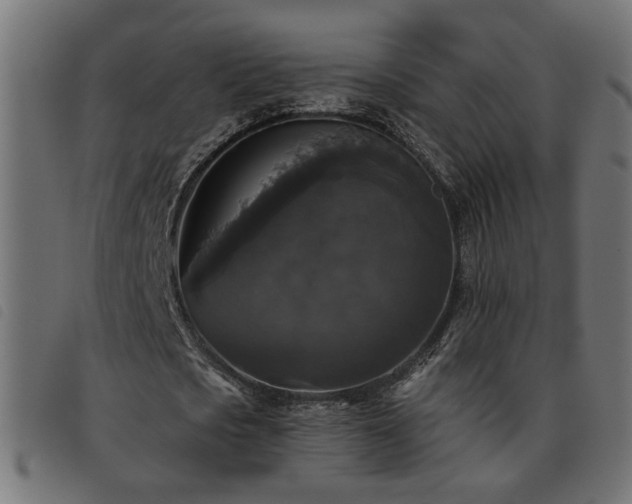 X0000093450721200710121353