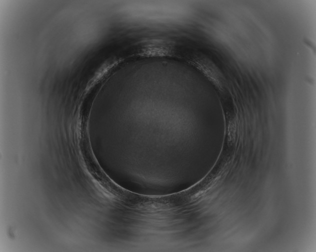 X0000093450722200710121353