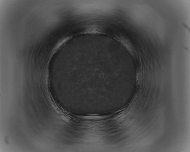 X0000093450724200710121353