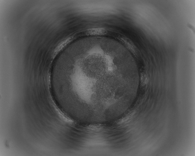 X0000093450725200710121353