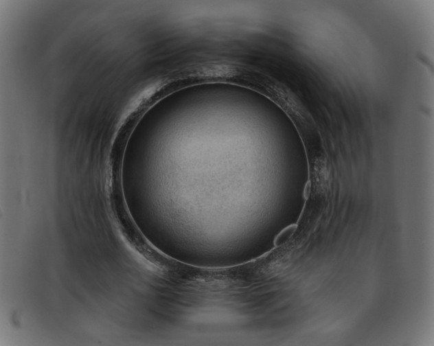 X0000093450726200710121353
