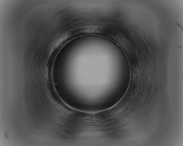 X0000093450727200710121353
