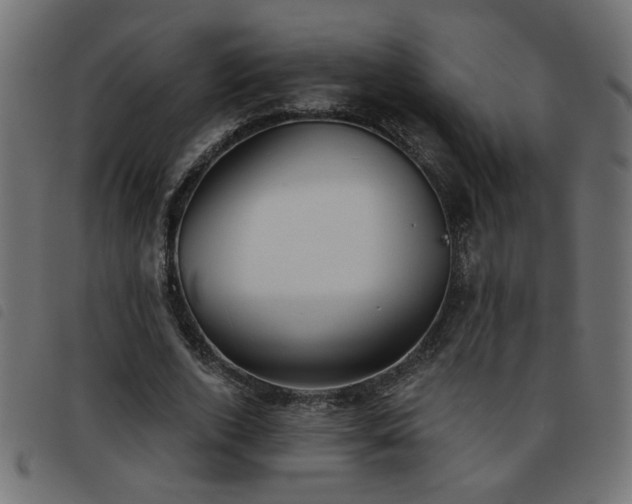 X0000093450728200710121353