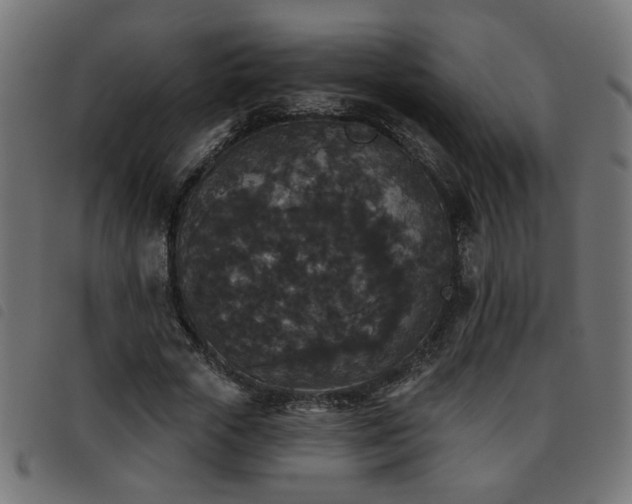 X0000093450729200710121353